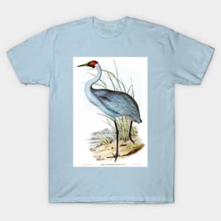 Australian Crane (Grus Australasianus) T-Shirt